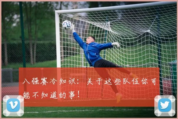 八强赛冷知识:关于这些队伍你可能不知道的事!