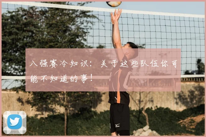 八强赛冷知识：关于这些队伍你可能不知道的事！