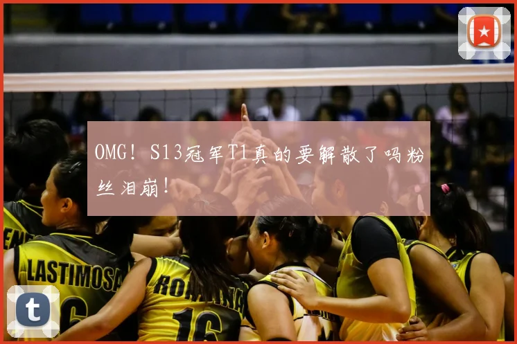 OMG！S13冠军T1真的要解散了吗粉丝泪崩！