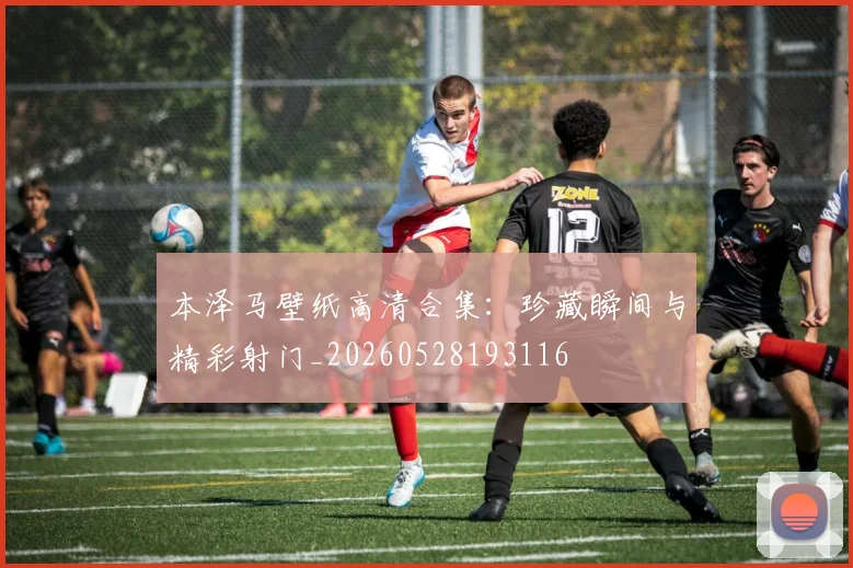 本泽马壁纸高清合集:珍藏瞬间与精彩射门_20260528193116